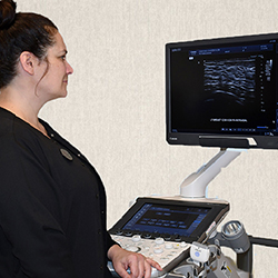 Breast Ultrasound