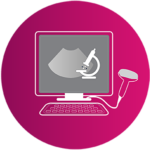 Ultrasound Guided Biopsy4d